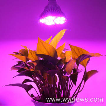 Indoor plant 100W E27 led grow light bulb